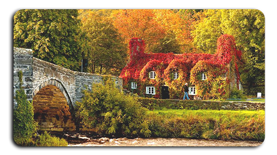 Mùa thu xứ Wales ngập tràn sắc đỏ - vàng của lá phong (ảnh internet)