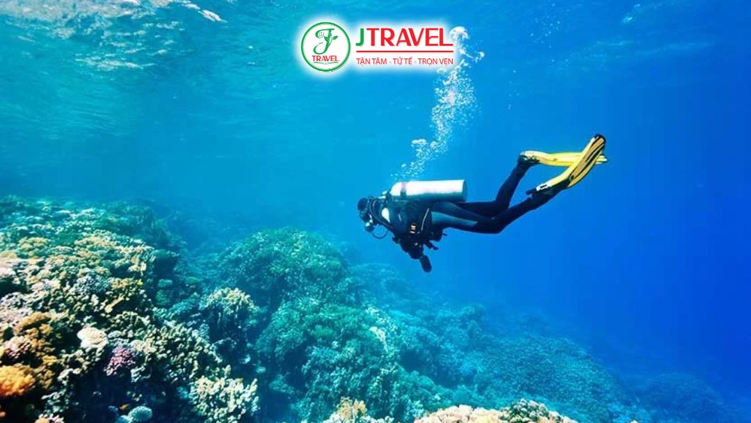 Quy tắc bảo vệ môi trường biển khi lặn ngắm san hô