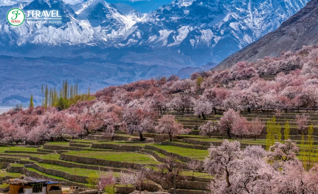 Thời điểm lý tưởng du lịch Pakistan tự túc