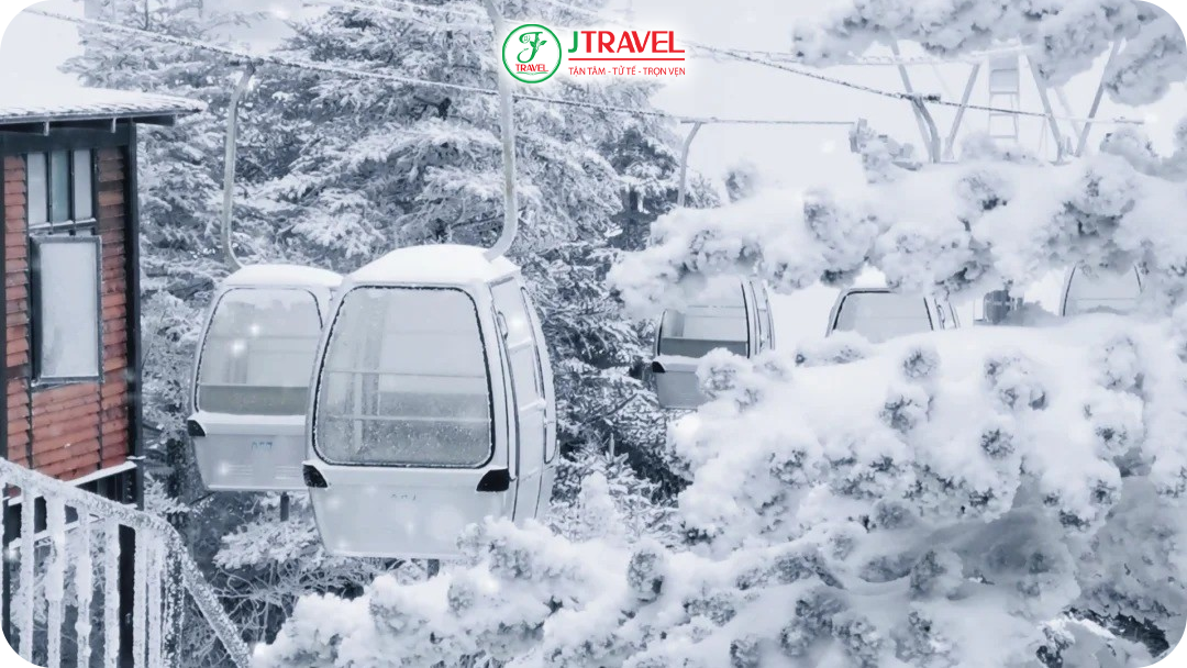 J Travel tặng vé cáp treo khứ hồi ngắm toàn cảnh núi tuyết hùng vĩ
