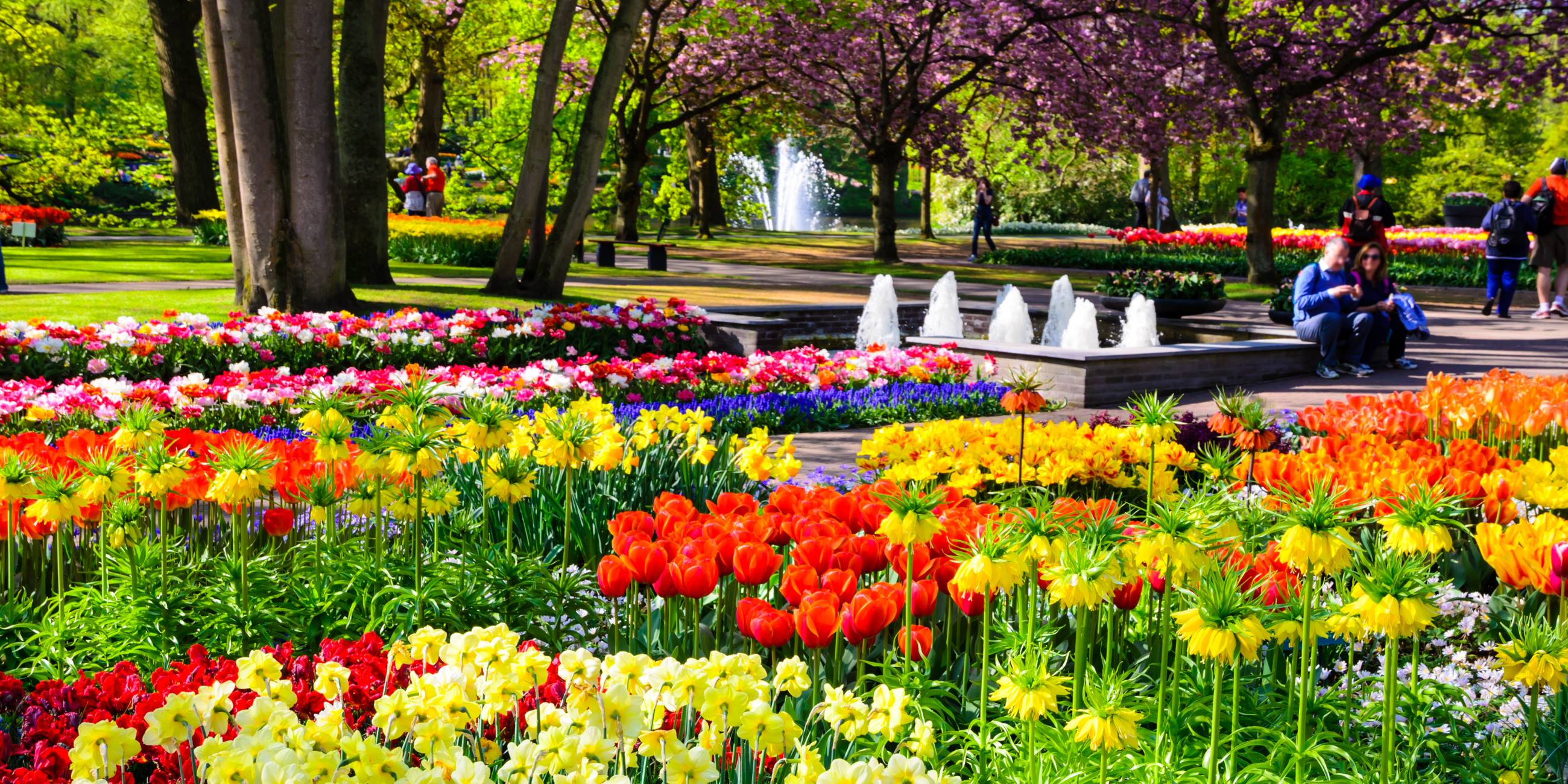 Tham quan vườn hoa Keukenhof (nguồn internet)