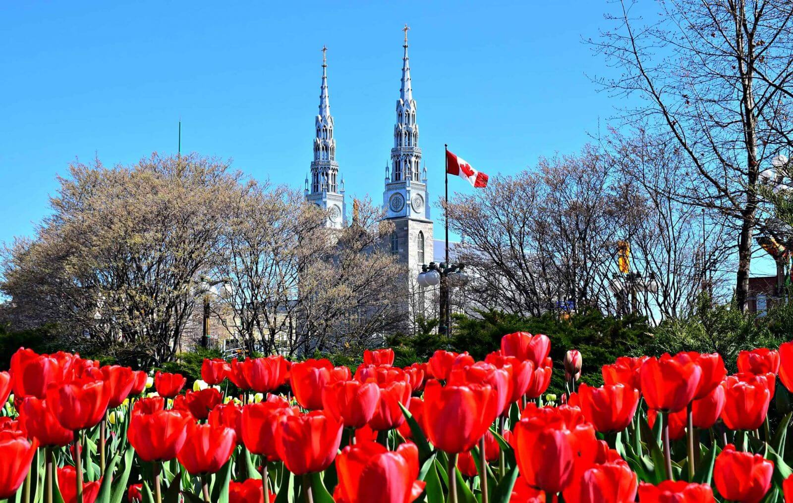 [Tour Lễ Hội] Liên Tuyến Bờ Đông Mỹ – Canada 15N14Đ | Mùa Hoa Anh Đào & Hoa Tulip