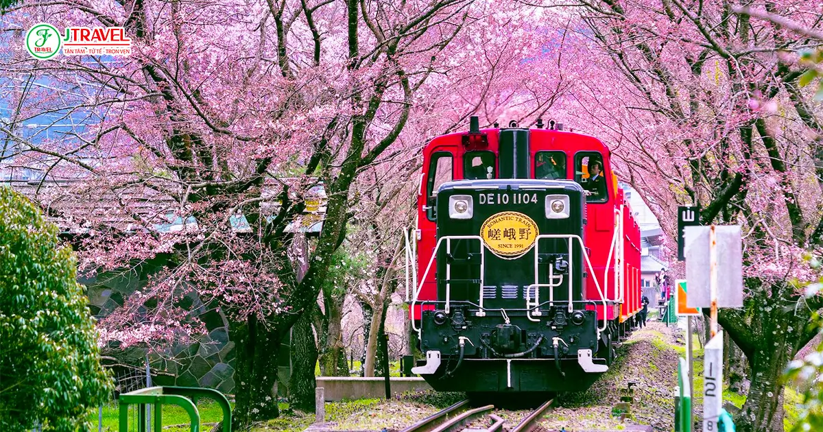 Ngắm hoa anh đào ở Arashiyama trên chuyến tàu lãng mạn Sagano