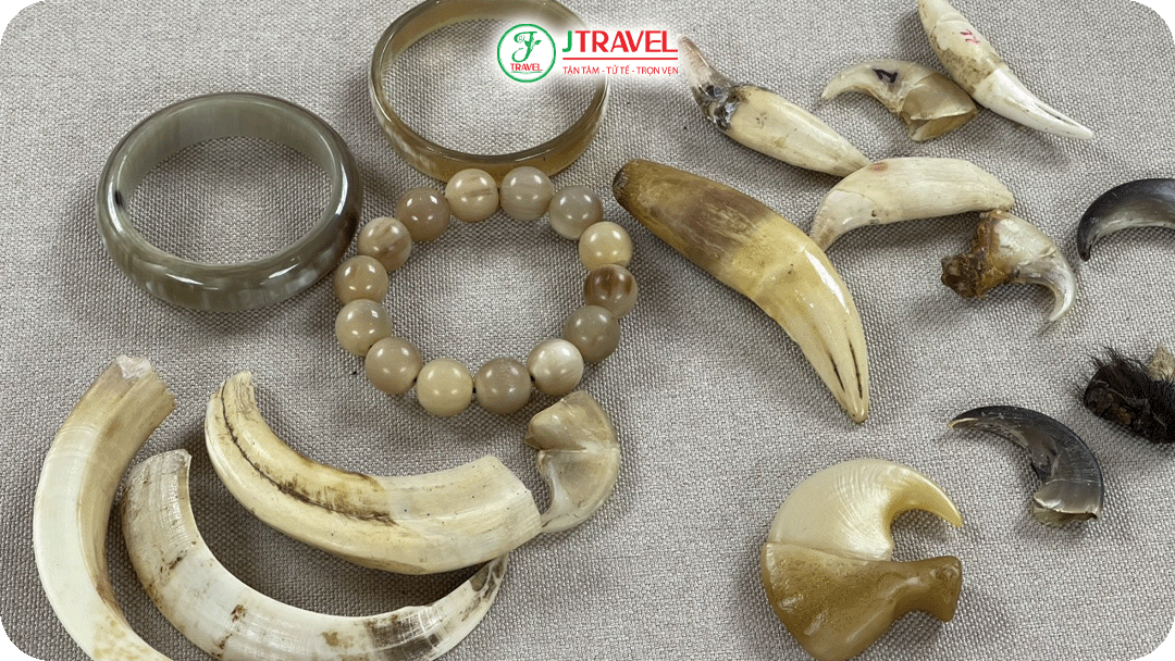 Sản phẩm từ động vật hoang dã, quý hiếm