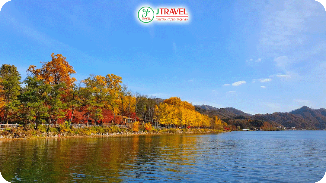 Một gốc đảo Nami vào mùa thu lá vàng cam tuyệt đẹp