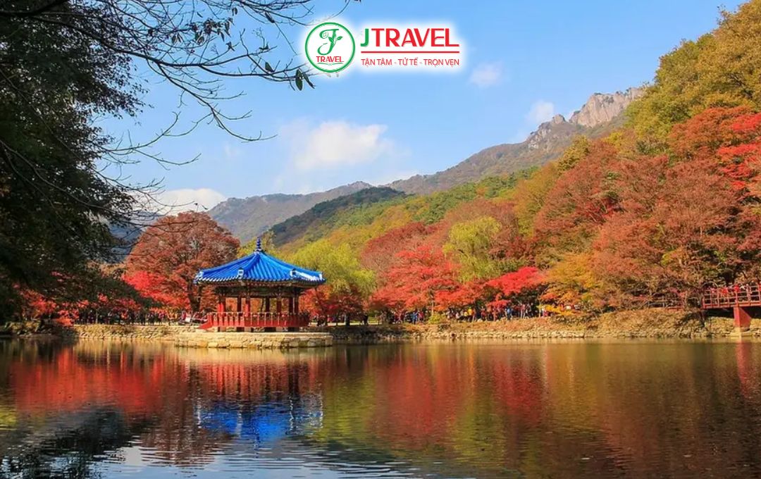 Công Viên Quốc Gia Naejangsan