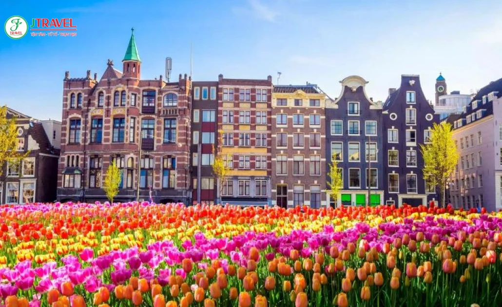 Mùa xuân Hà Lan rực rỡ hoa tulip và lễ hội King’s Day