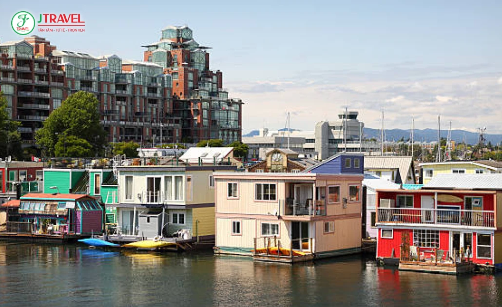 Khung cảnh Cảng Inner Harbour sôi động, du thuyền và nhà nổi đầy màu sắc tại Victoria