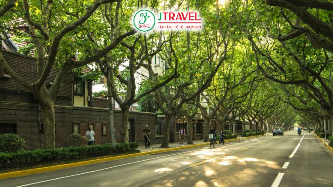 Kinh Nghiệm Tham Quan Đại Lộ Ngô Đồng Nam Kinh