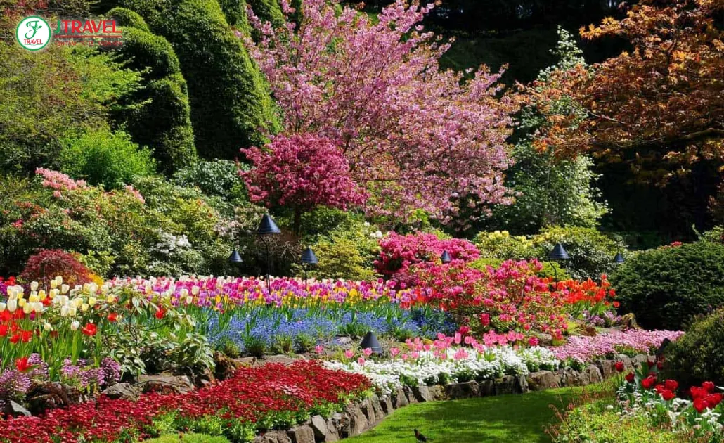 Khách du lịch khám phá vườn hoa Butchart rực rỡ sắc màu mùa xuân