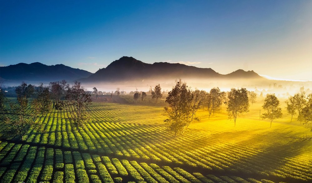 Tour Du Xuân Tây Nguyên: Măng Đen - Pleiku - Buôn Ma Thuột 4N4Đ