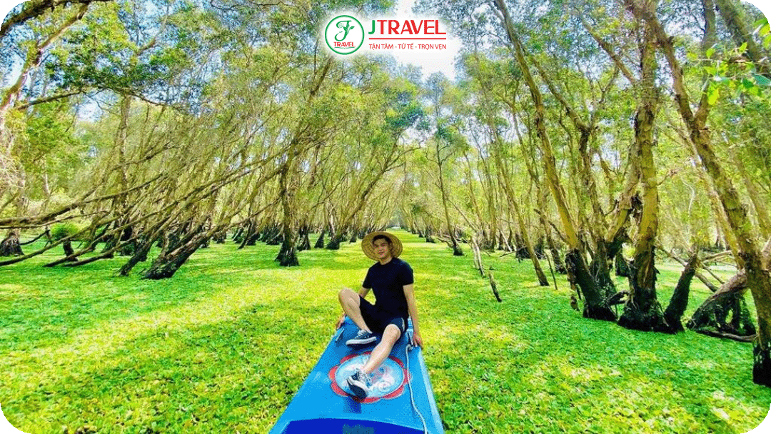 Rừng tràm Trà Sư đẹp nhất vào mùa nước nổi phủ kín bèo xanh