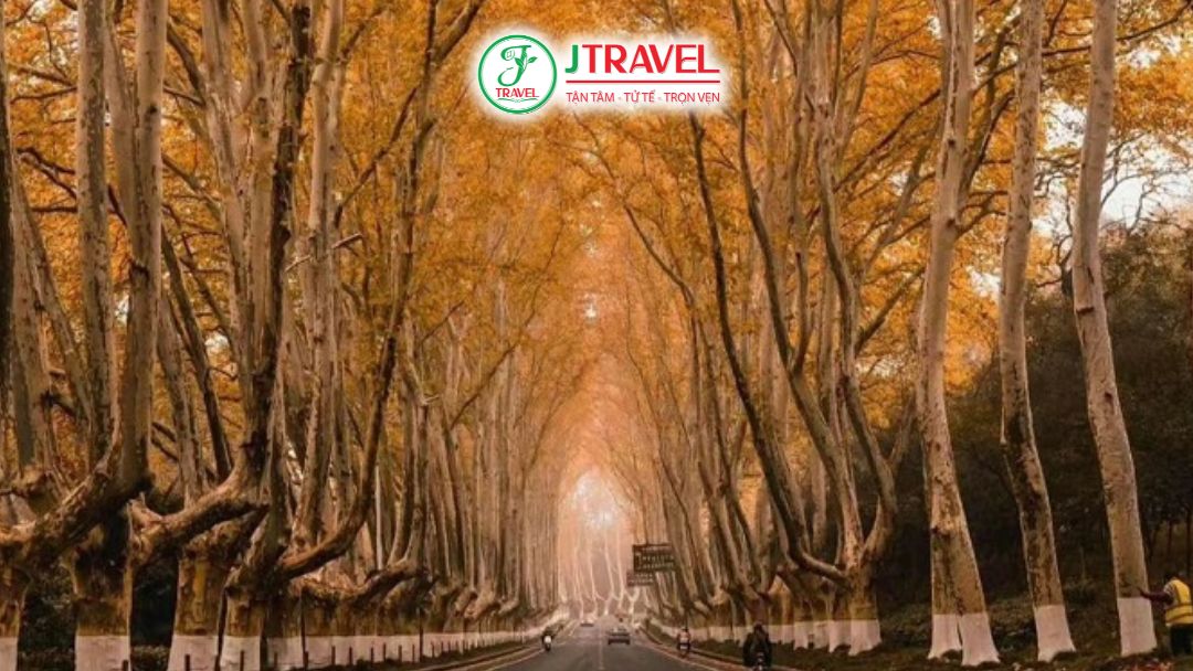 Mùa Thu Lá Vàng Đẹp Như Tranh Vẽ