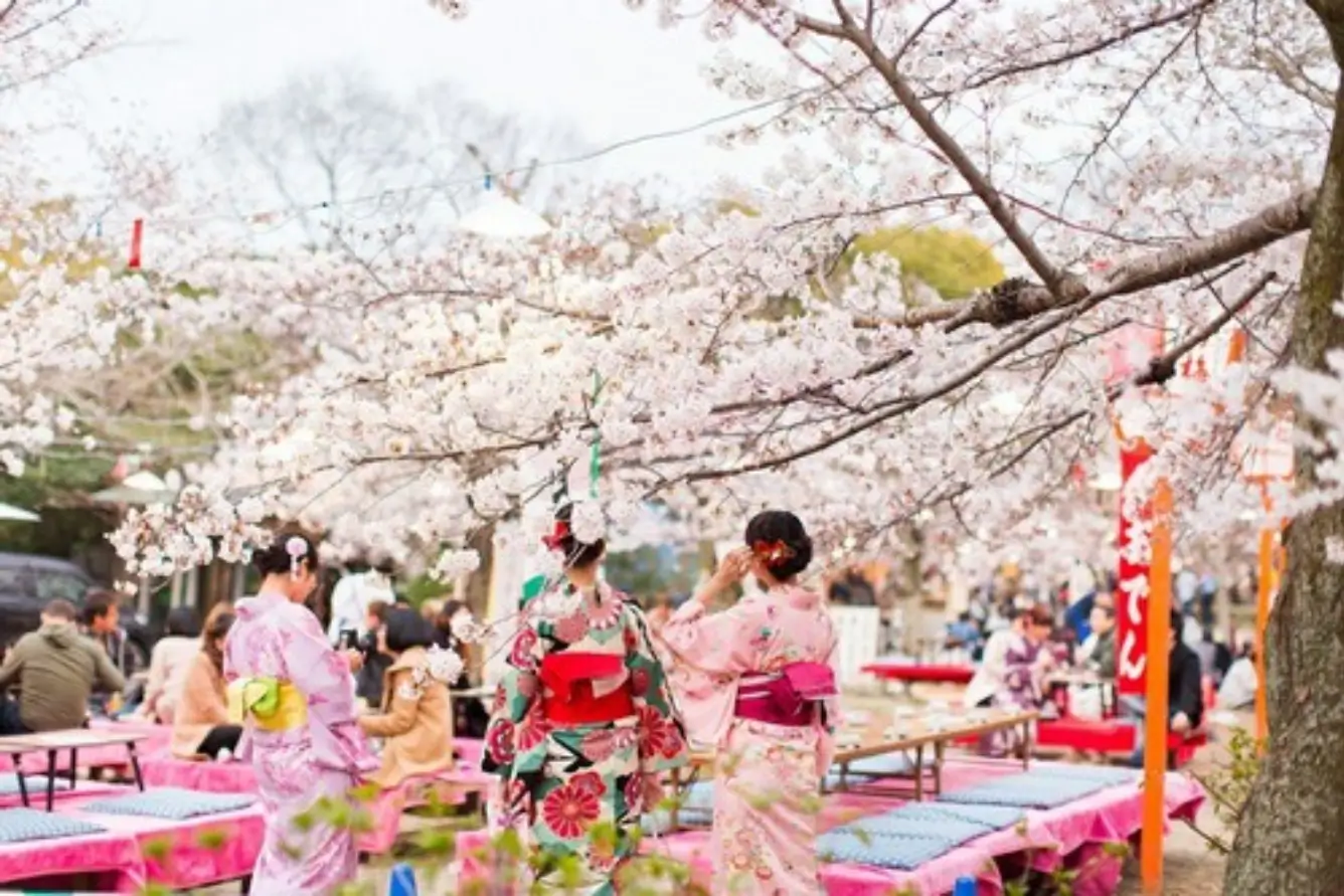 Trải Nghiệm Văn Hóa Hanami 