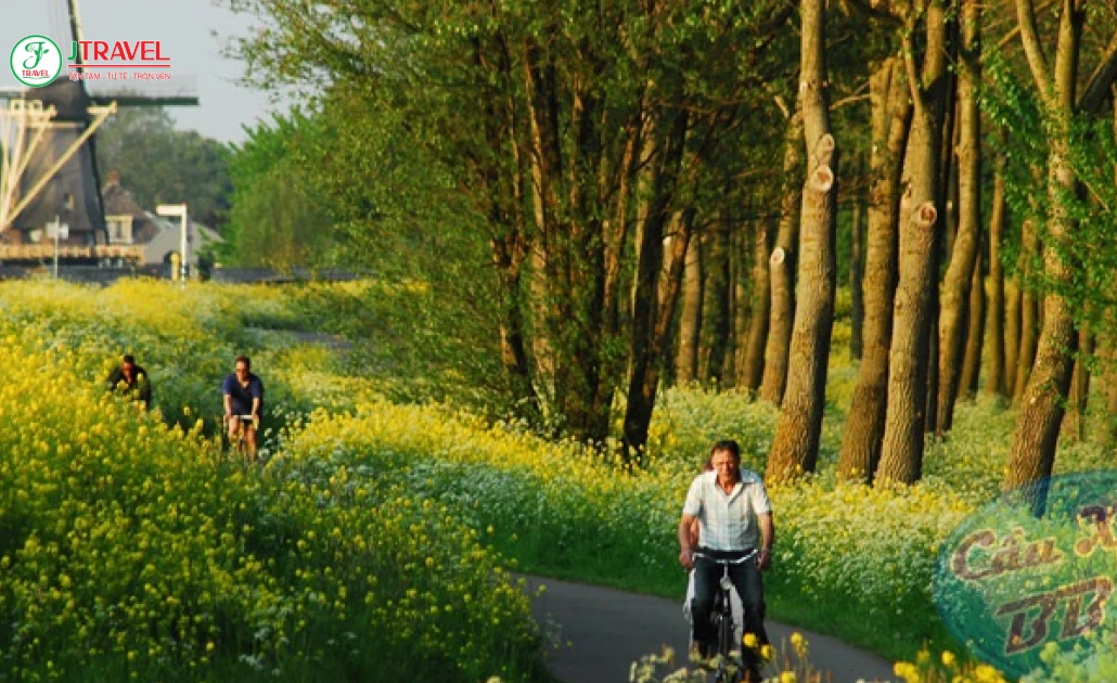 Không khí du lịch Hà Lan tháng 6 đến 8