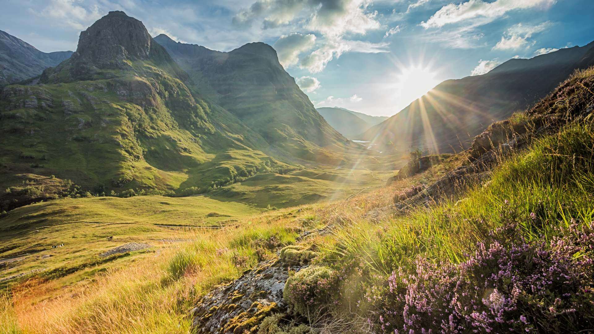 Mùa hè Scotland (tháng 6 – tháng 8) (ảnh internet)