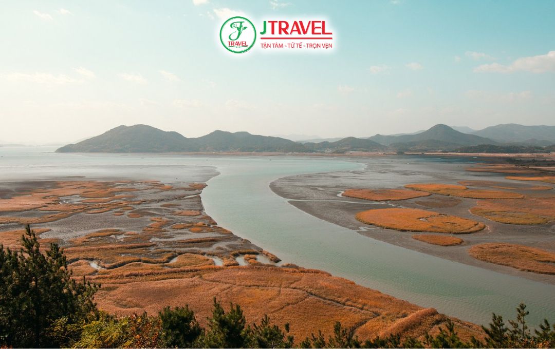 Suncheon Bay Wetland