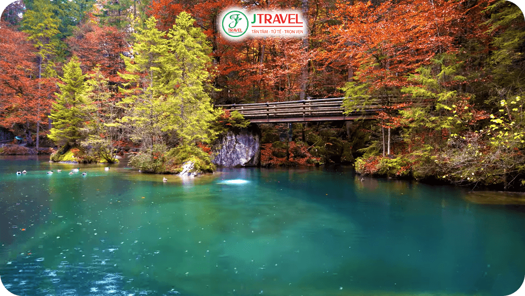 Cảnh đẹp hút hồn du khách của hồ Blausee - Thụy Sĩ