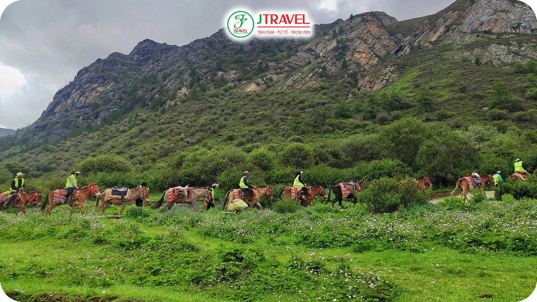 Đồng cỏ trải dài bất tận được tô điểm bởi sắc vàng, tím, trắng của muôn hoa dại