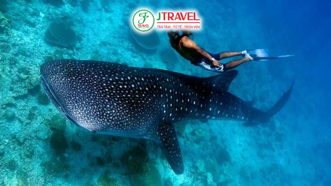 Lặn biển Philippines mùa khô nước trong