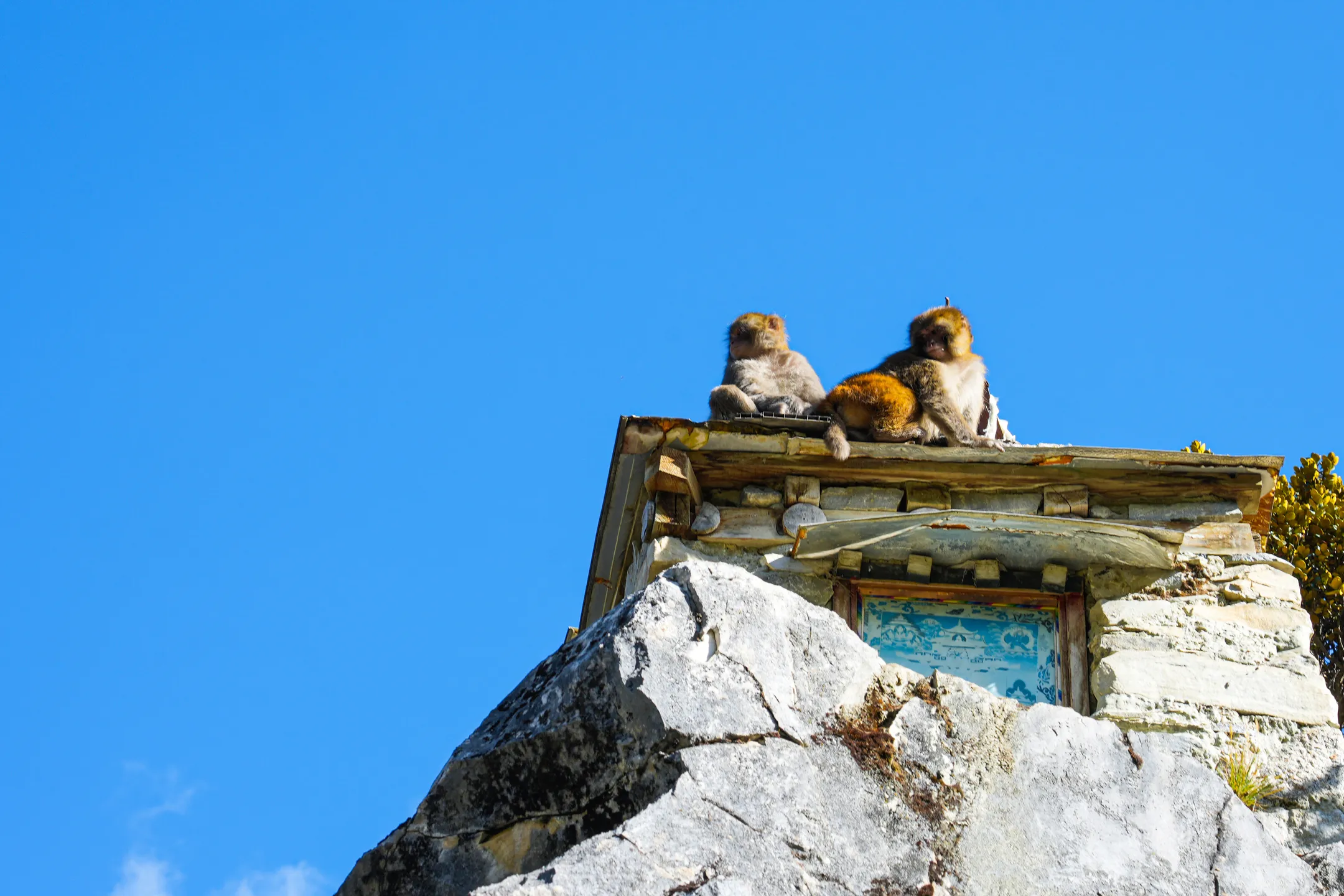 Xung Cổ Tự J Travel