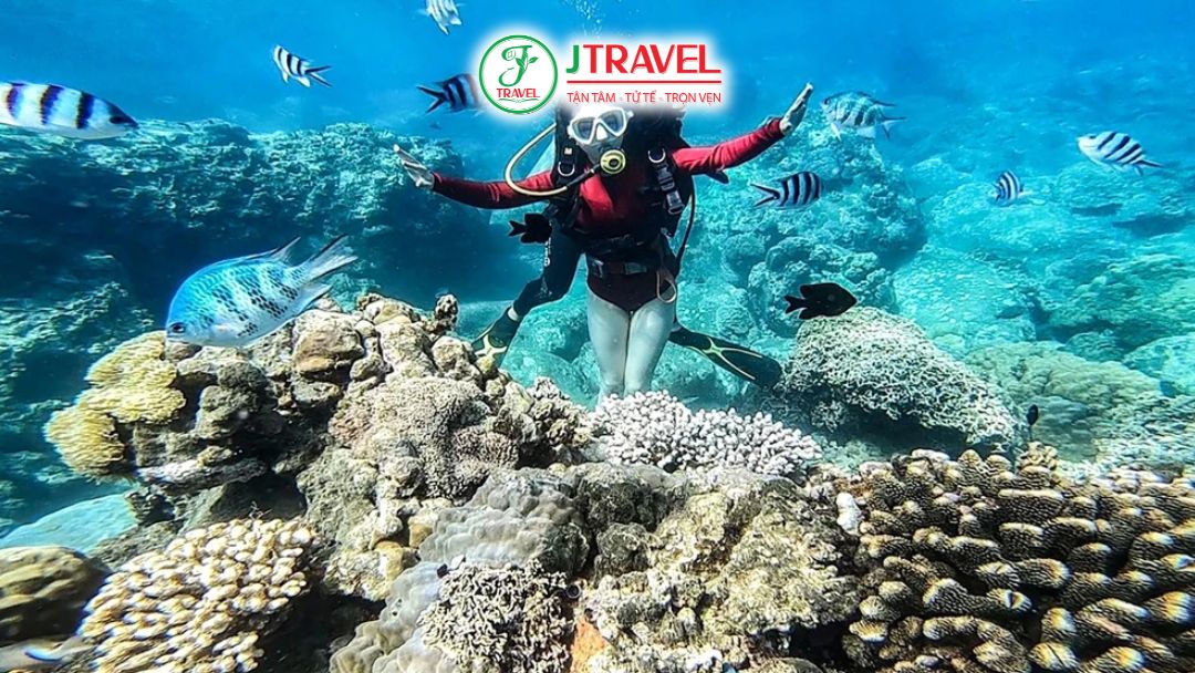 Thời điểm vàng để trải nghiệm lặn biển tại Nha Trang
