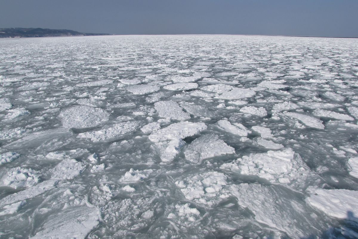 Băng trôi biển Okhotsk ngoài khơi Abashiri, Hokkaido