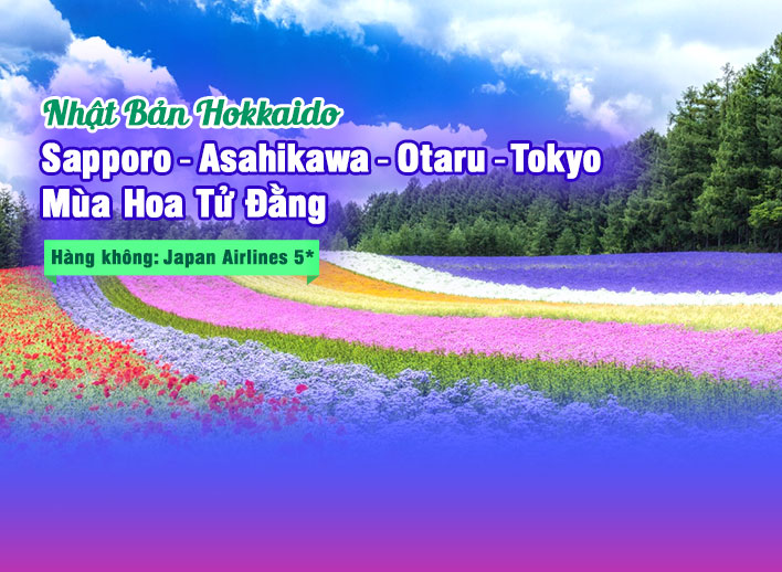 Tour Nhật Bản Hokkaido Mùa Hoa Lavender: Sapporo – Asahikawa – Otaru – Tokyo