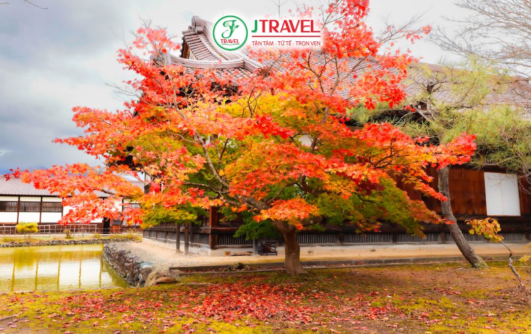 Đi tour Nhật Bản mùa lá đỏ tháng 9