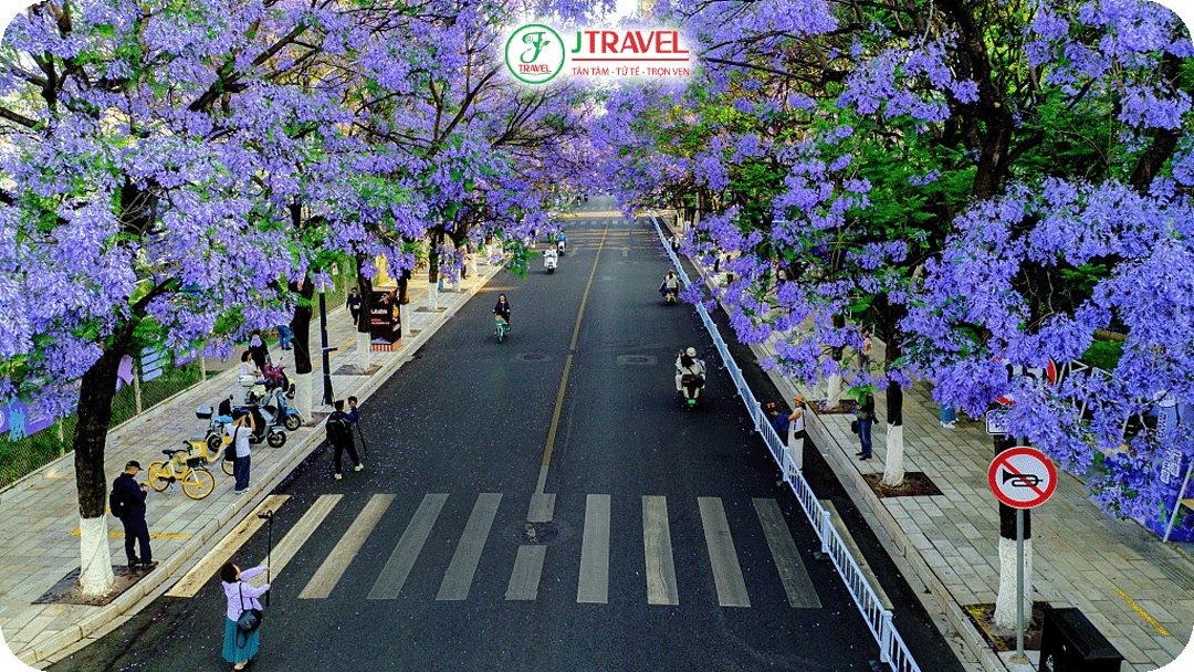 Đại lộ Nhị Hoàn Tây với nhiều cây phượng tím nhất Côn Minh