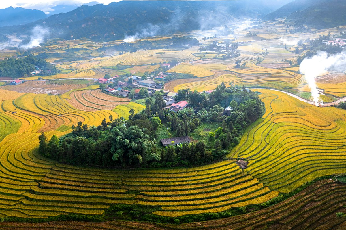 Ruộng bậc thang chín vàng bao quanh bản làng vào mùa lúa chín Tây Bắc