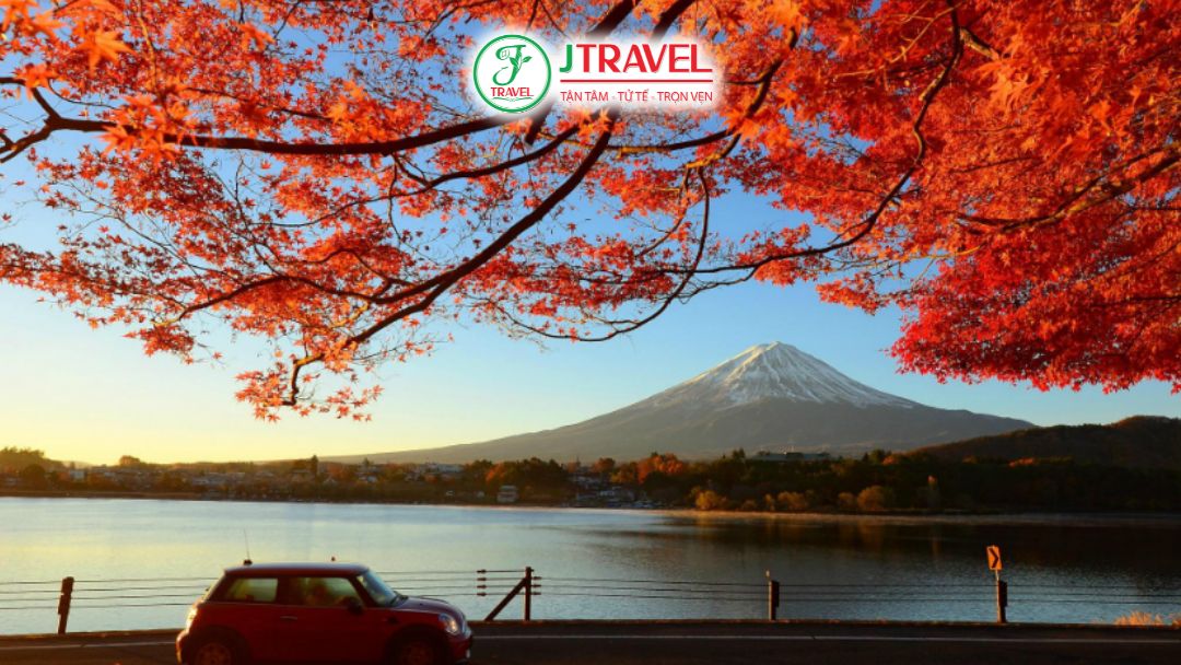 Ưu đãi khi đặt tour Nhật Bản mùa thu sớm