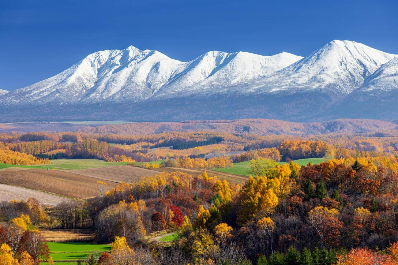 Mùa thu tại Hokkaido Nhật Bản