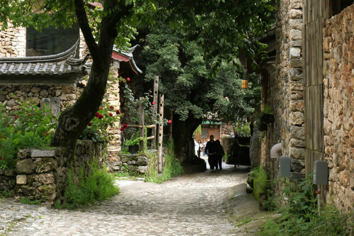 Con đường đá và nhà cổ bên hàng cây