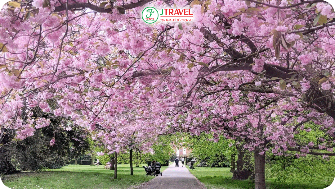 Thời tiết Anh Quốc mùa xuân dịu dàng và dễ chịu nhất trong năm