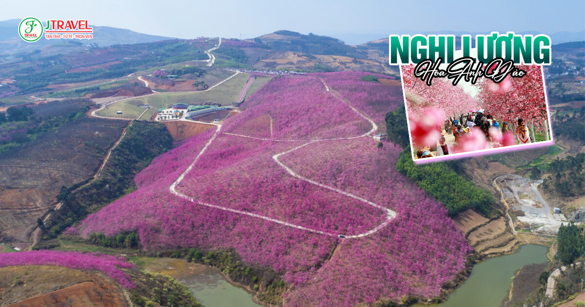 Thung lũng hoa anh đào Nghi Lương