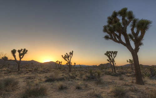 Hoang mạc Mojave