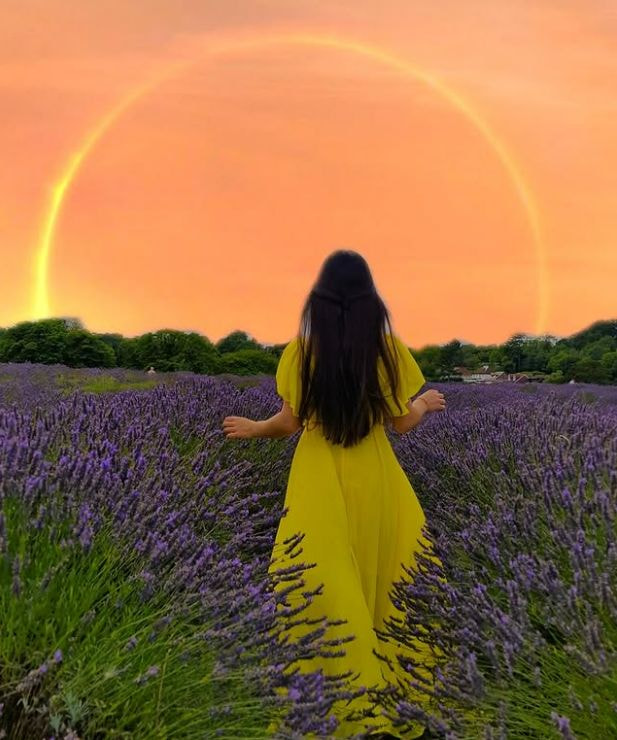 Thả dáng giữa sắc tím mộng mơ của cánh đồng hoa lavender Mayfield