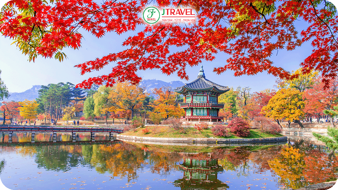 Cung điện Gyeongbok – hòa mình trong khung cảnh cổ kính với hàng cây đổi màu