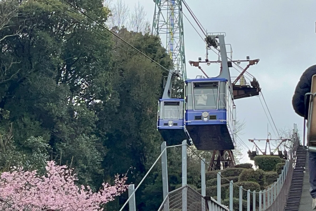 Cáp treo lên lâu đài Matsuyama