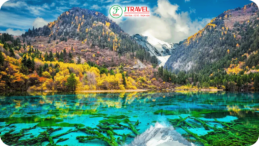 Cửu Trại Câu mùa thu - lý do giới trẻ Trung Quốc bỏ qua công việc đến đây một lần trong năm