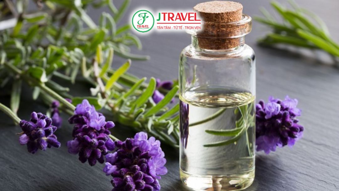 Tinh Dầu Lavender