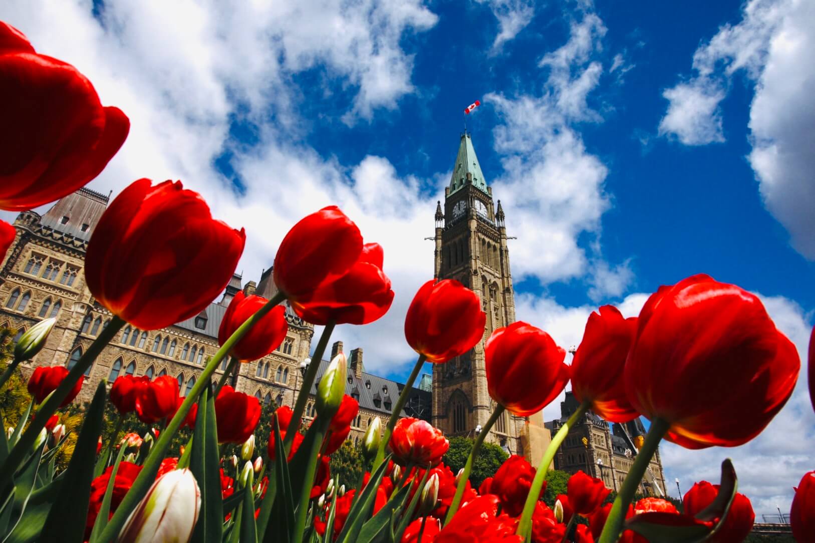 Tour Bờ Đông Canada: Lễ Hội Hoa Tulip 8N7Đ