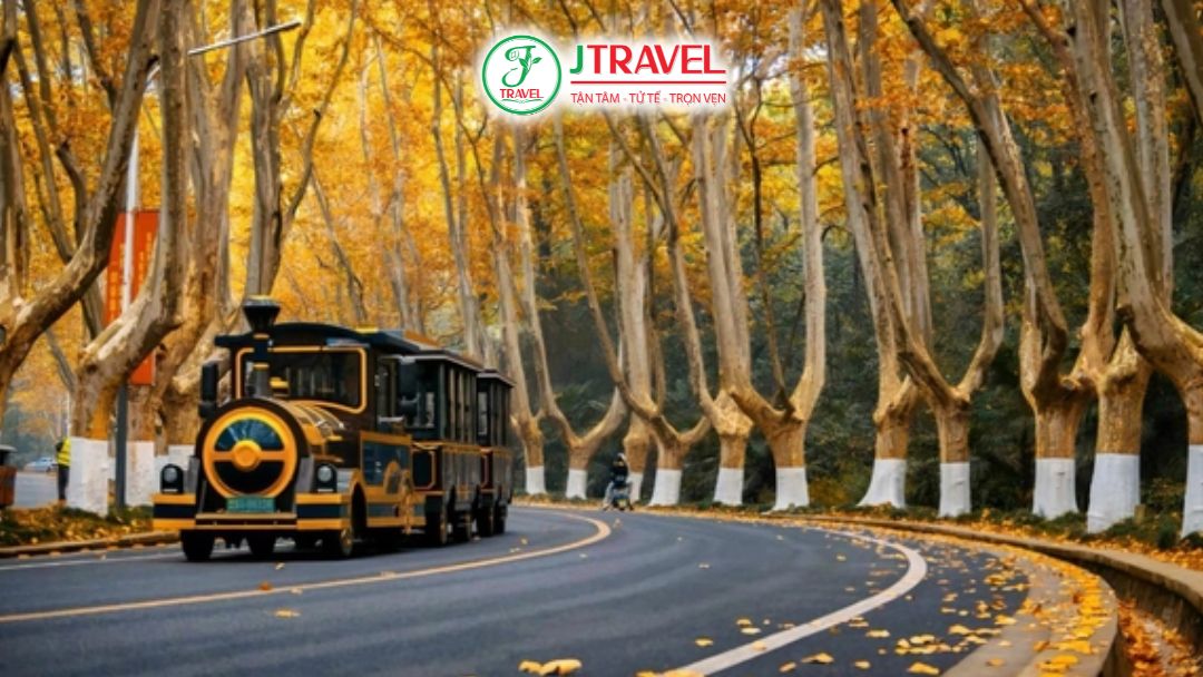 Đại Lộ Ngô Đồng Nam Kinh Mùa Thu