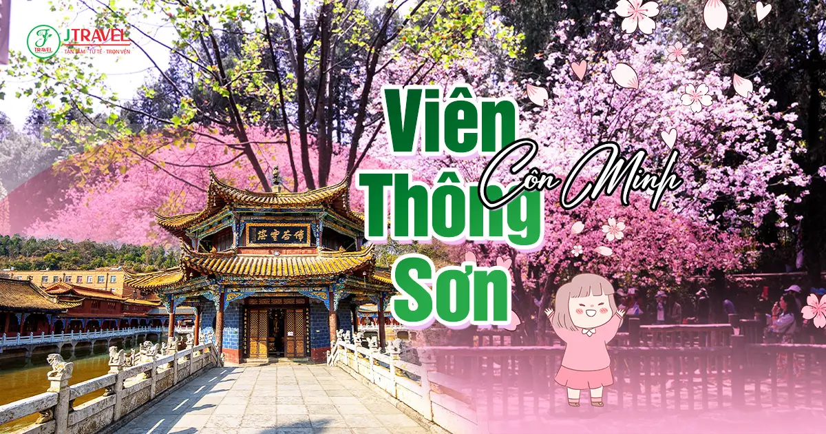 Viên Thông Sơn Mùa Hoa Anh Đào