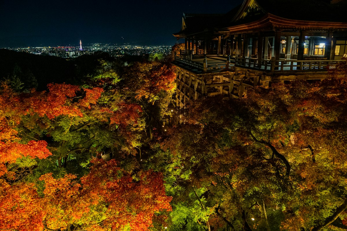 Chùa Kiyomizu-dera giữa rừng cây ở Kyoto