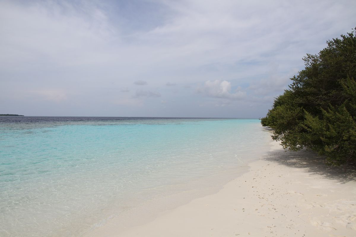 Bãi cát trắng và biển xanh ở Baa Atoll, Maldives