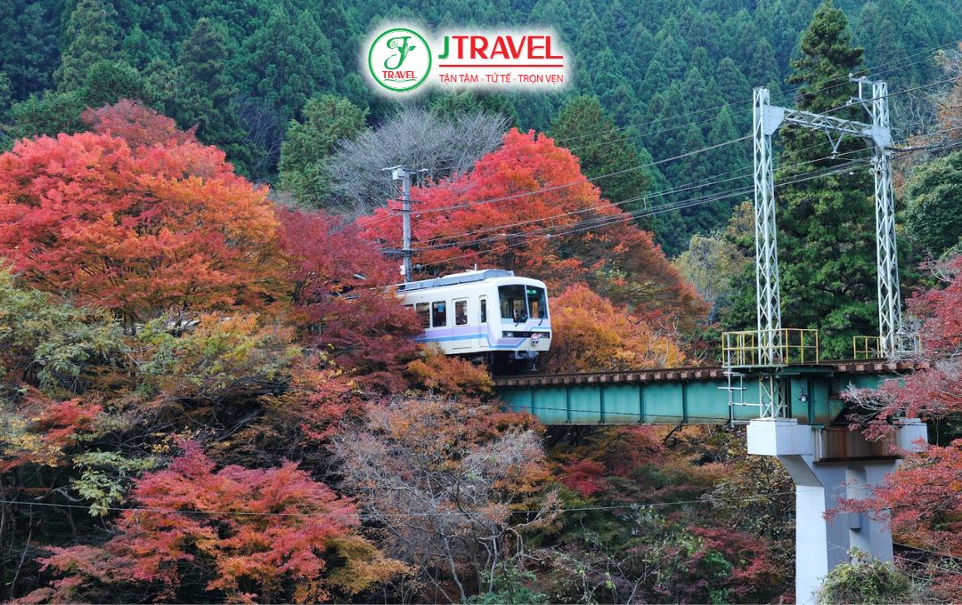 Tour mùa thu có gì hấp dẫn