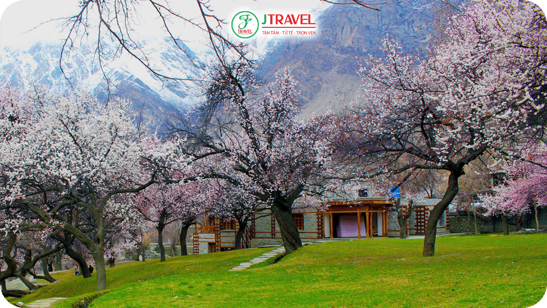 Mùa xuân tại Pakistan thường kéo dài từ tháng 3 đến tháng 5