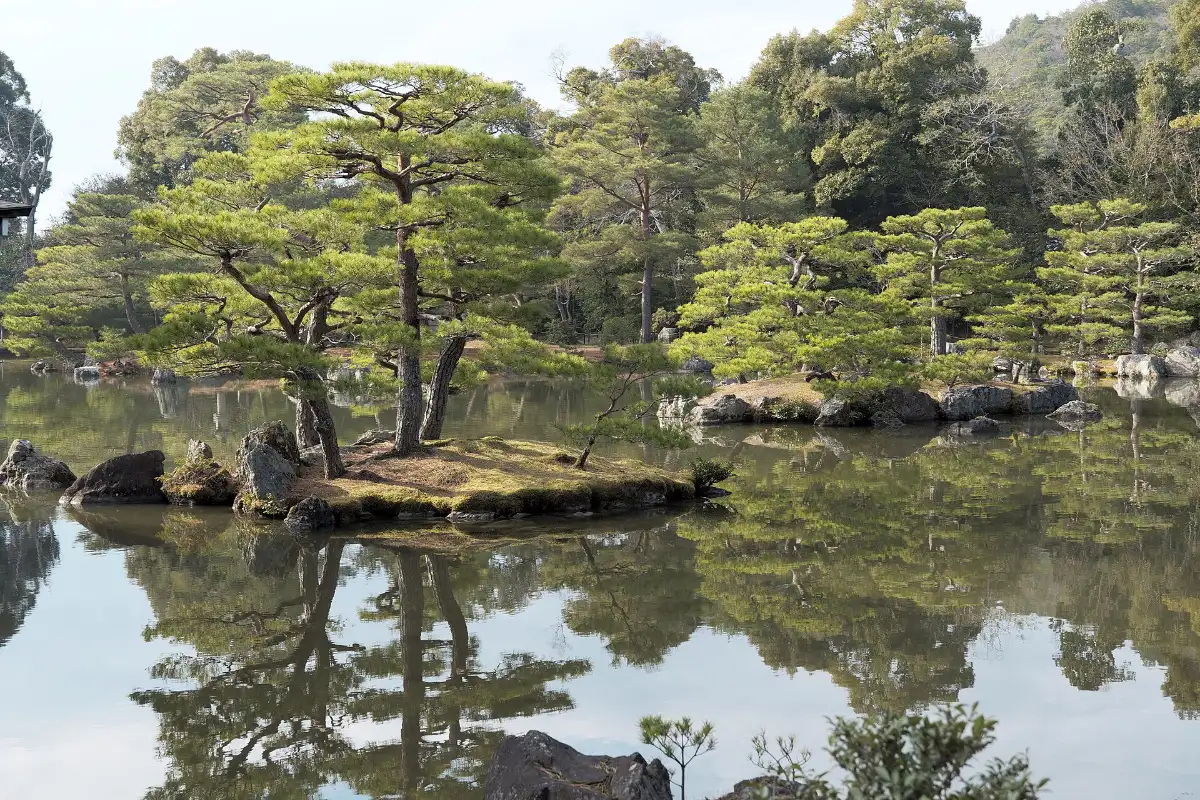 Hồ nước trong vườn chùa Kinkakuji